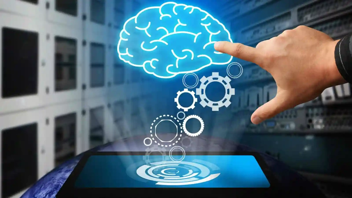 neuroscience education