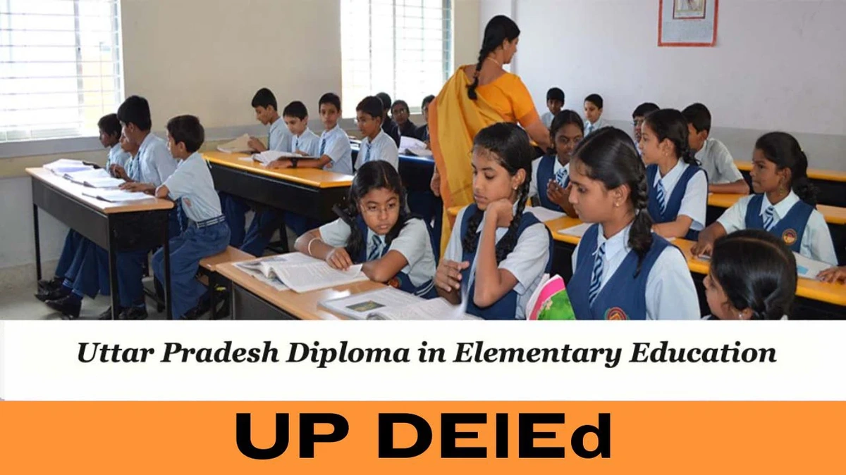 Why D.El.Ed? More Than Just a Diploma