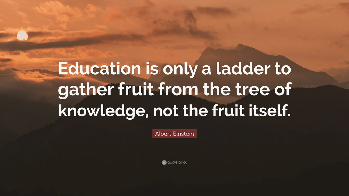 Einstein Education Quote