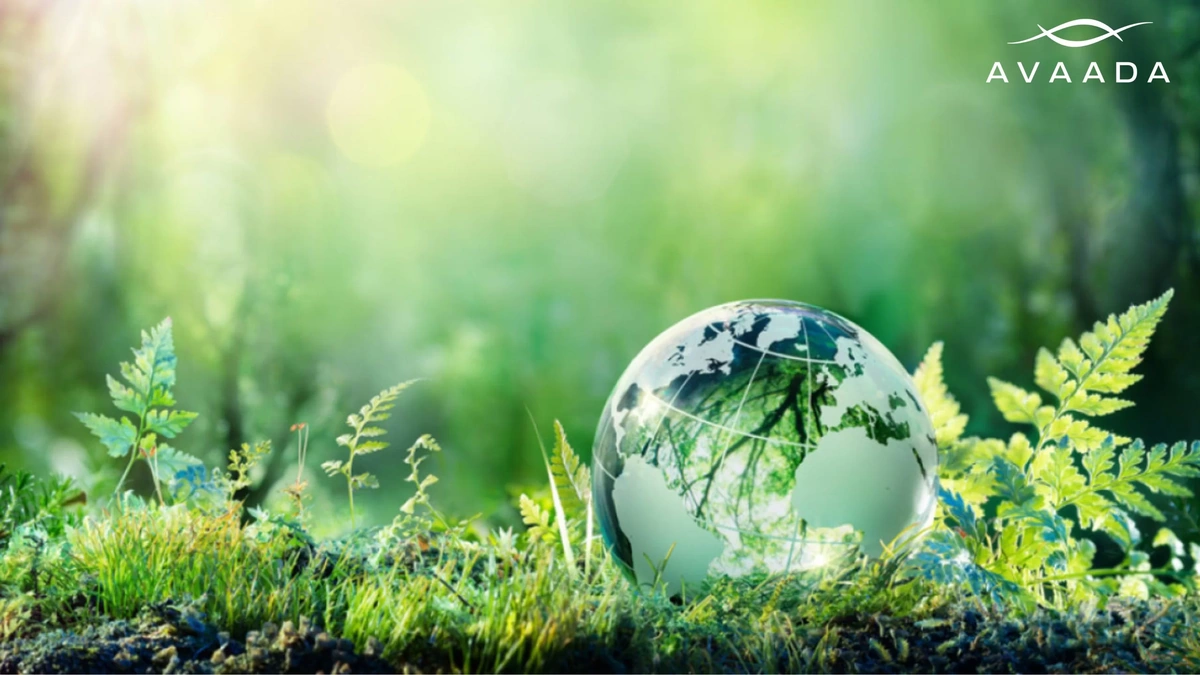 The Power of Words | Shaping Environmental Attitudes