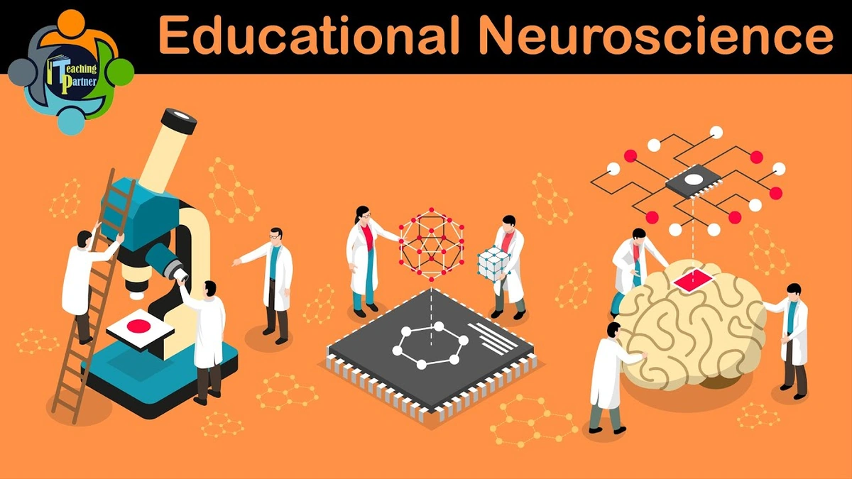 Why Neuroscience in Schools? It's More Than Just Brain Facts